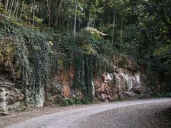 -上海佘山国家森林公园西佘山园