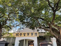-长洲岛