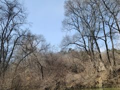 -萨尔浒风景区