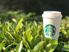 -星巴克臻选(嘉定疁城国际店)