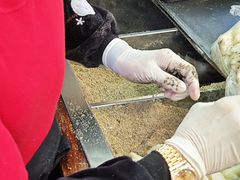 -叶氏麻糍(鼓浪屿店)