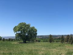 -敕勒川草原文化旅游区