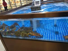 水产区-七鲜超市(通州ONE店)