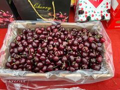 车厘子-红星农博物流中心