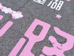 -燕塞湖鸟语林景区