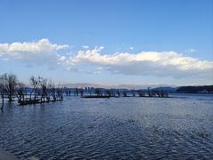 -洱海月湿地公园