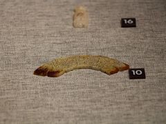 -鸿山遗址博物馆