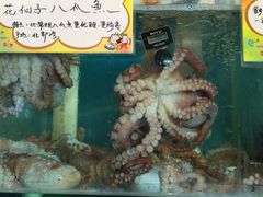-蚝专家(北滘店)