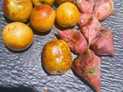 -吴越荣记苏州菜·松鼠桂鱼100%活鱼现做(月光码头店)