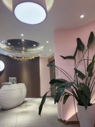 -MUSES专业脱毛日式比基尼サロン连锁