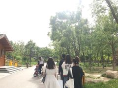 -东郊湿地公园