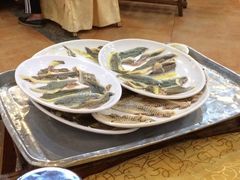 -荔城生鲜盛宴(番禺旗舰店)