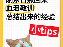 -日照海滨国家森林公园