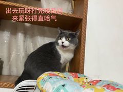 -芭比堂动物医院广州顽皮分院