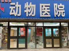 -全心全意连锁动物医院·微创中心·内科急重症·心脏专科(丰管路店)