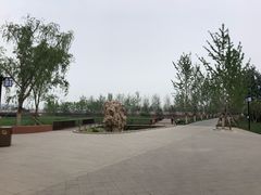 -西海子公园