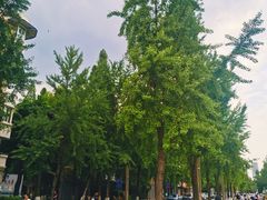 -四川大学(望江校区)