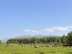 -新疆那拉提国家旅游度假区
