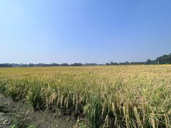 -中国天府农业博览园