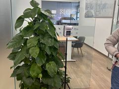 -北汽鹏龙ARCFOX极狐(国贸店)