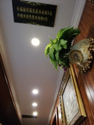 -小齐发型Star·Salon