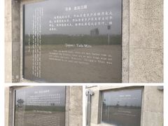 -哈素海