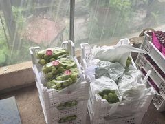 -马陆小张葡萄园农家乐