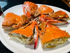 -兴隆·小隆台·温岭菜