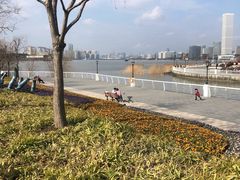 -上海山野camping·户外天幕烧烤·团建拓展营地