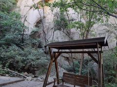 -大岭沟猕猴桃谷风景区