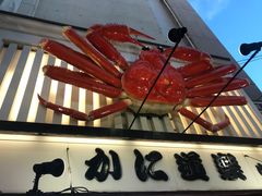 -蟹道乐(道顿堀本店)