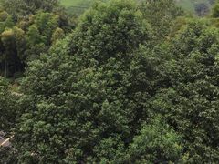 -天目湖御水温泉·度假酒店