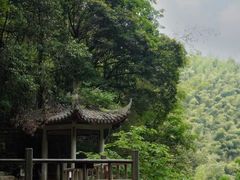 -莫干山风景区