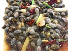 黄泥螺-金海湾海鲜排档(朱家尖店)