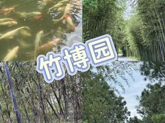 -阿露佳·舌尖上的安吉菜