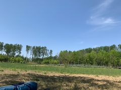 -东郊湿地公园