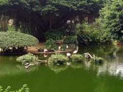 -九龙公园