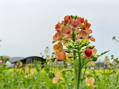 -中国天府农业博览园