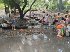 -成都市活水公园