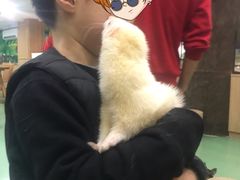 -藦茜花园宠物主题亲子互动体验馆(国顺东路店)