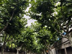 -星巴克(武康路店)