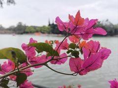 -西湖公园(鼓楼区)