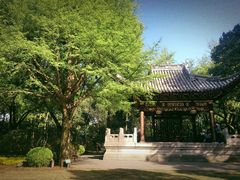 -汇龙潭