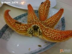 海星-海岛渔村大酒店(云霄路店)