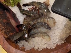 -二刀潮牛(重庆光环购物公园店)