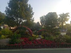 -合肥滨湖国家森林公园