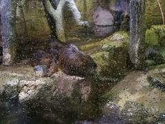 -迪拜水族馆及水下动物园