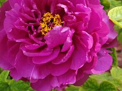 -北京老铺烤鸭(西稍门店)