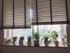 -双季花艺园艺市场(浦东店)