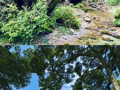 -峨眉山报国寺